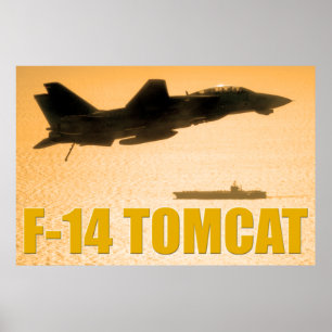AFFICHE F-14 TOMCAT