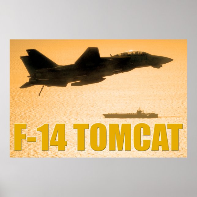 AFFICHE F-14 TOMCAT (Devant)