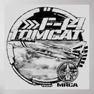 Affiche F-14 Tomcat