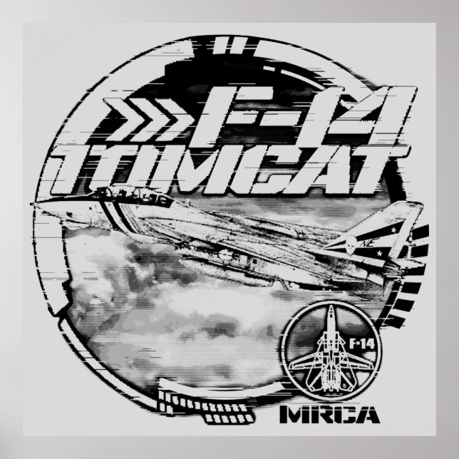 Affiche F-14 Tomcat (Devant)