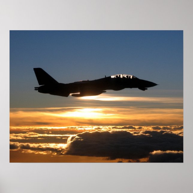 Affiche F-14D Tomcat (Devant)