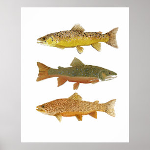 Affiche Fabrication d'un tigre