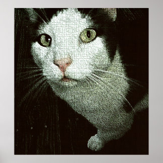 Affiche Face à toi Bob