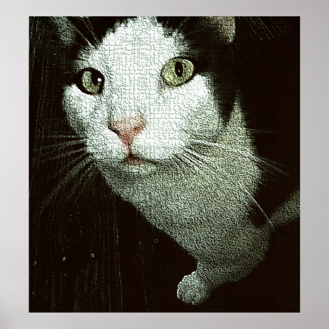 Affiche Face à toi Bob (Devant)