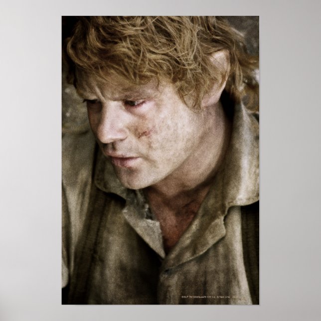 Affiche Face latérale Samwise (Devant)
