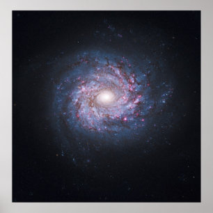Affiche Face On Spiral Galaxy NGC 3982 from the Hubble