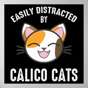 Affiche Facilement Distrait Par Les Chats Calico