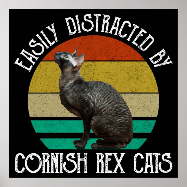 Affiche Facilement Distrait Par Les Chats Cornish Rex (Devant)