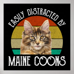 Affiche Facilement Distrait Par Les Maine Coons