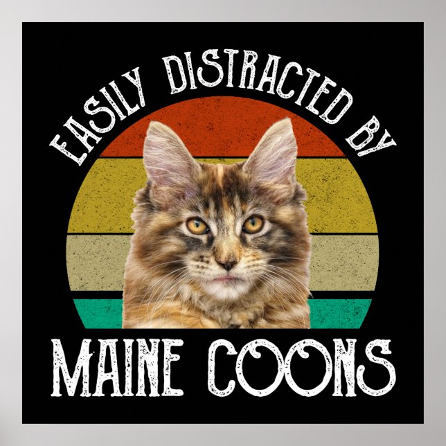 Affiche Facilement Distrait Par Les Maine Coons (Devant)
