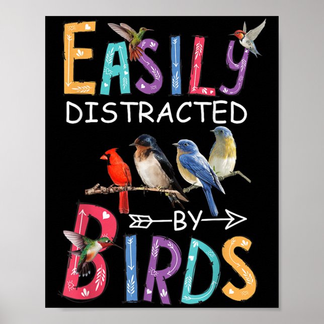 Affiche Facilement Distrait Par Les Oiseaux Drôle Oiseau (Devant)
