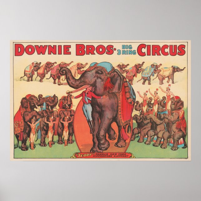 Affiche Faire Des Éléphants Avec Des Femmes Et Des Formate (Devant)