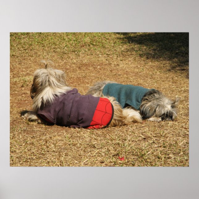 Affiche Faire la sieste à Nong Khai (Devant)