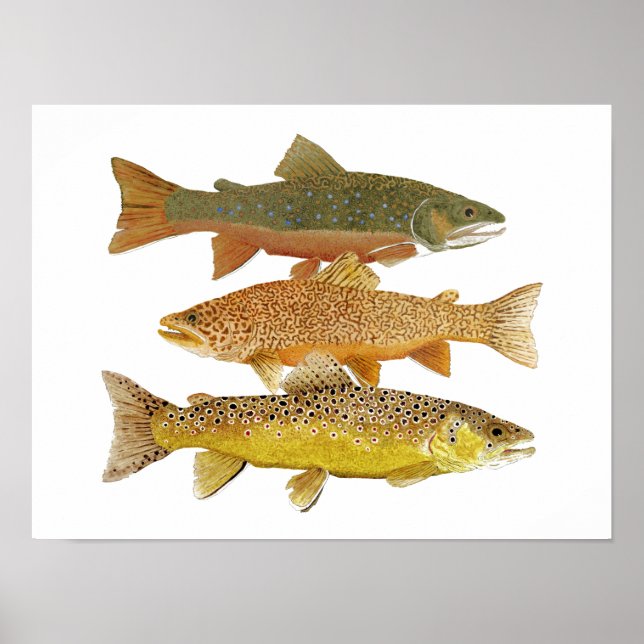 Affiche Faire un tigre (Devant)