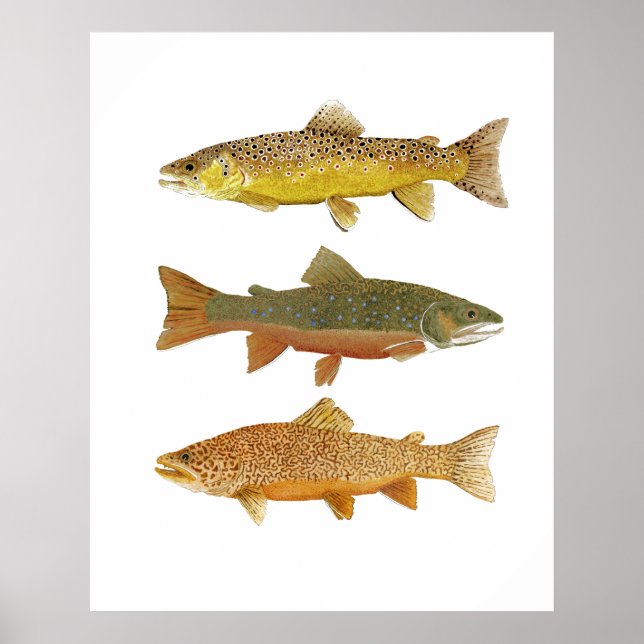 Affiche Faire un tigre (Devant)