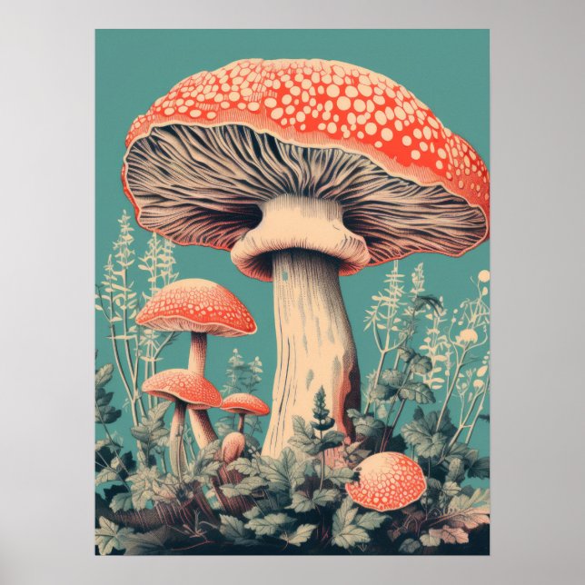 Affiche Fairy Tale Fungi (Devant)