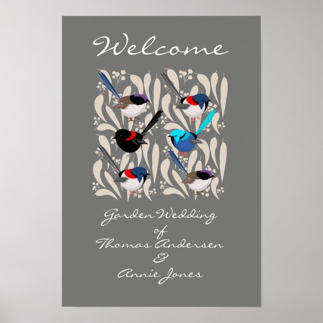 Affiche Fairy Wrens (Devant)