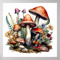 Fairycore Fairytale Champhrooms Funghi