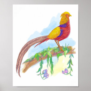 Affiche Faisan doré d'oiseaux