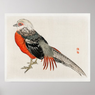 Affiche faisan japonais par Kōno Bairei (1844-1895)