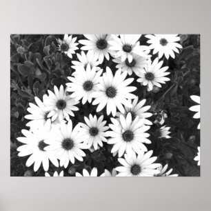 Affiche Faisceaux en noir et blanc