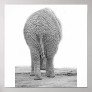 Affiche Fait mon sembler sans valeur grand