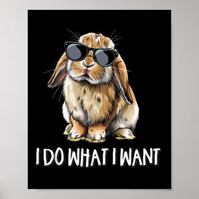 Affiche Faites Ce Que Je Veux Mini Holland Lop Lapin Lapin (Devant)