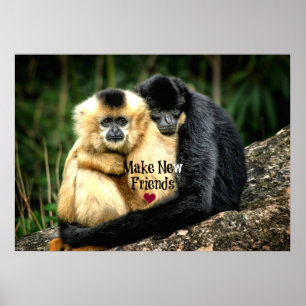 Affiche "Faites de nouveaux amis"