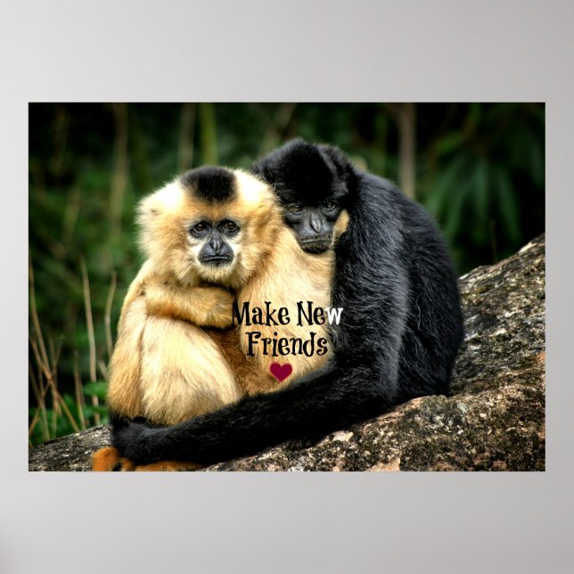 Affiche "Faites de nouveaux amis" (Devant)