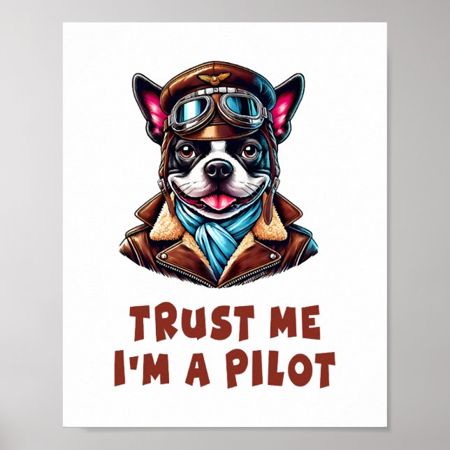 Affiche Faites-moi confiance, je suis pilote (Devant)