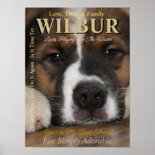 Affiche Faites Votre Animal De Compagnie L'Étoile Ils Sont