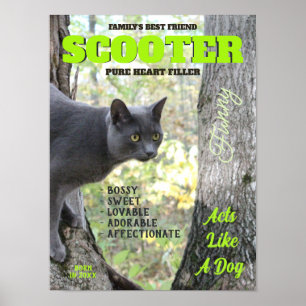 Affiche Faites votre couverture de magazine Kitty Cat