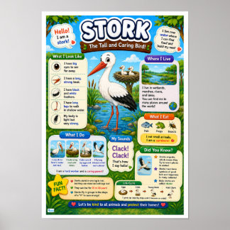 Affiche Faits amusants sur la cigogne pour les enfants