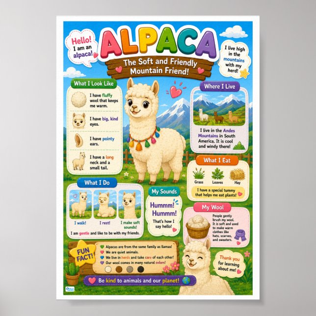 Affiche Faits amusants sur l'alpaca pour les enfants (Devant)