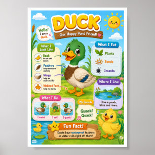 Affiche Faits Amusants Sur Le Canard Pour Les Enfants