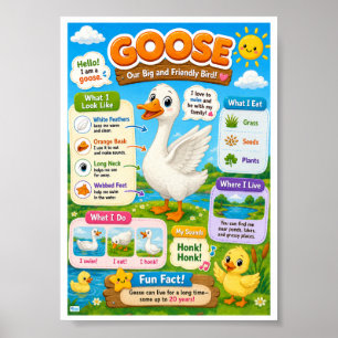 Affiche Faits amusants sur l'oie pour les enfants