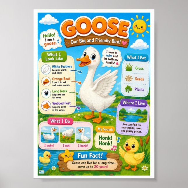Affiche Faits amusants sur l'oie pour les enfants (Devant)