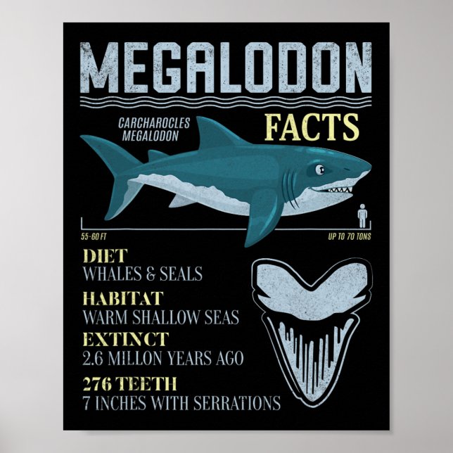 Affiche Faits sur le Mégalodon Dent de Requin Préhistoriqu (Devant)