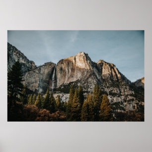 Affiche FALAISE Brown PRÈS DES ARBRES SOUS LE CIEL BLEU