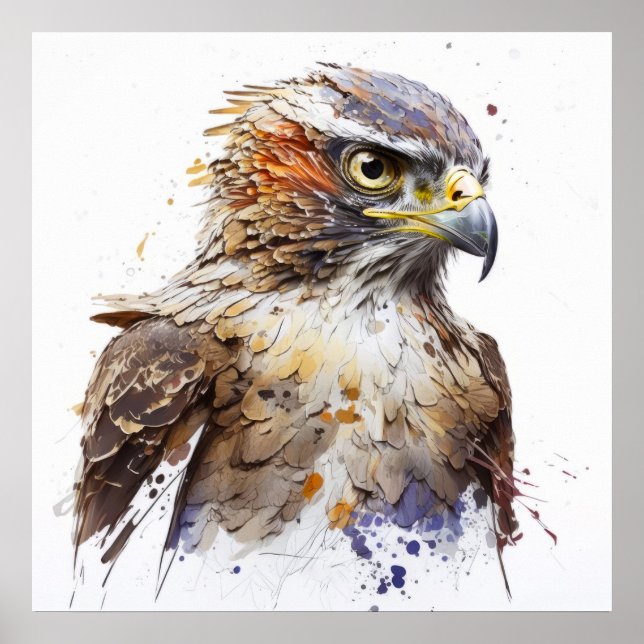 Affiche Falcon Bird Portrait Animal Peinture Faune Libre (Devant)