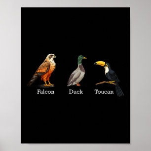 Affiche Falcon Canard Toucan Oiseaux Subtil Anti Trump