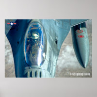 FALCON DE COMBAT F-16C