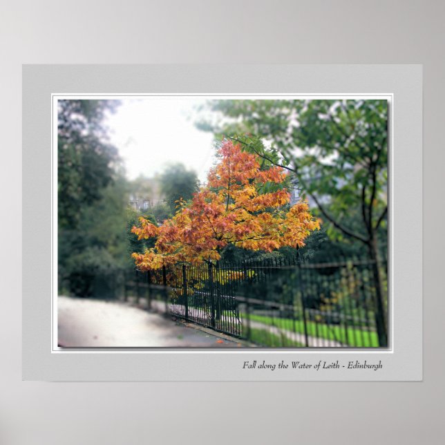Affiche Fall along the Water of Leith - Edinburgh (Devant)
