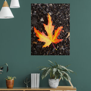 Affiche Fall Leaf Bright version de l'image. Restiq.