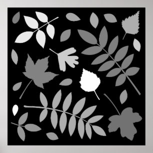 Affiche Fallen Feuille Design Gris Blanc Noir