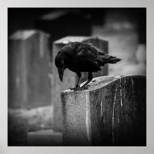 Affiche Falln Cemetery Crow