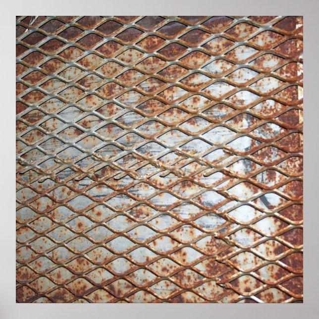 Affiche Falln Rusty Grate (Devant)