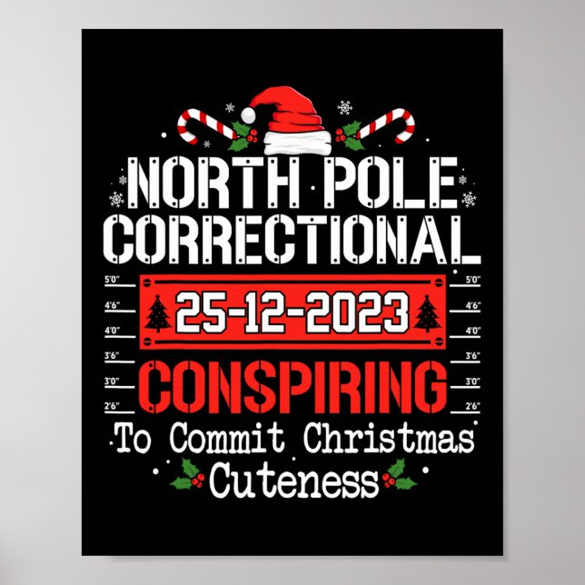 Affiche Famille conspirante du pôle Nord (Devant)
