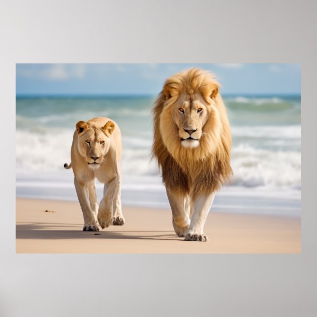Affiche Famille d'animaux de lions errant la nature (Devant)