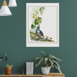 Affiche Famille de colins de Californie à l'aquarelle orig